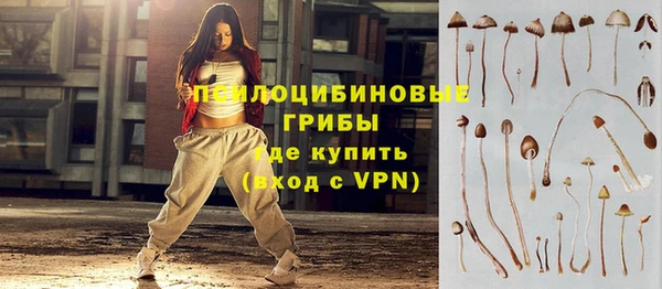 спиды Абаза