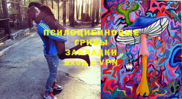 спиды Абаза