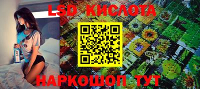 стаф Донецк