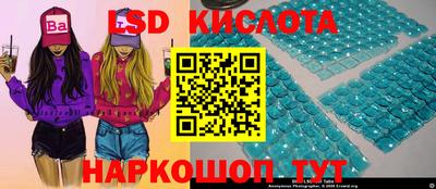стаф Донецк
