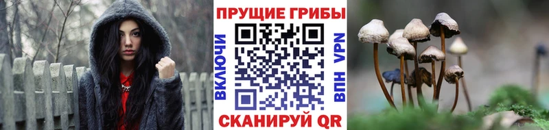 как найти наркотики Красноуфимск Псилоцибиновые грибы Magic Shrooms