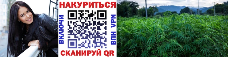 наркотики  Красноуфимск  Бошки марихуана гибрид 