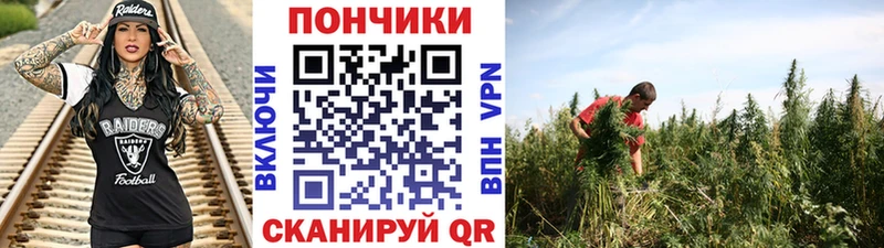 Бошки Шишки SATIVA & INDICA Красноуфимск